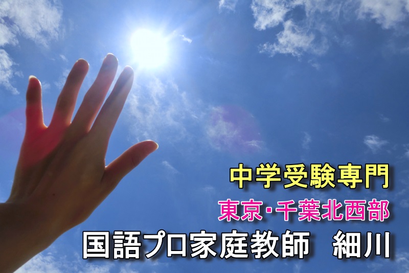 中学,受験,専門,国語,プロ,家庭教師,細川』東京,千葉北西部,個人,契約,夢を実現しよう