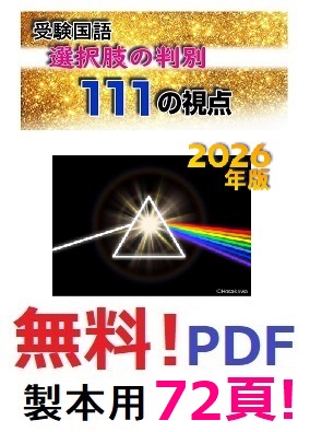無料：『選択肢の判別 111の視点』（B5判・全72頁）