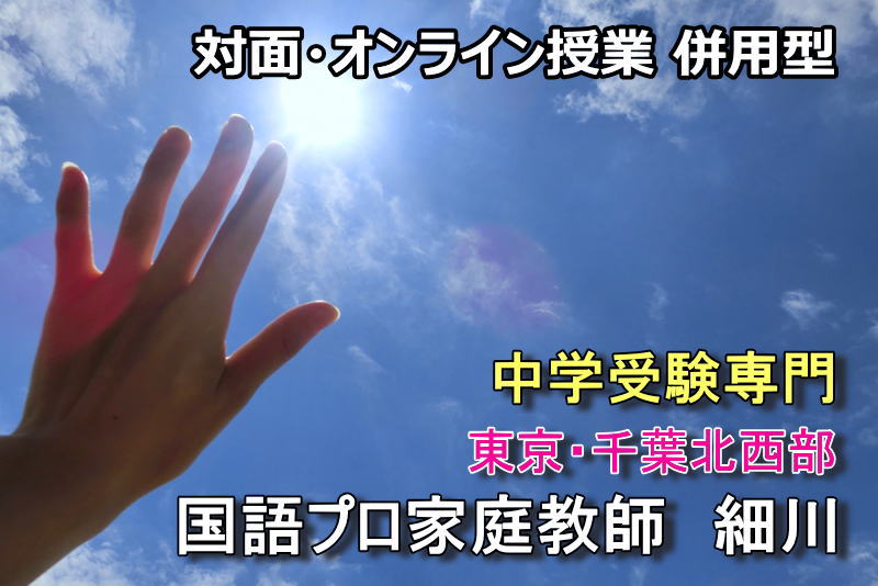 中学受験専門,国語,プロ,家庭教師, 細川,難関中学,受験,読解・記述対策, オンライン授業,東京・千葉北西部,タイトル画像